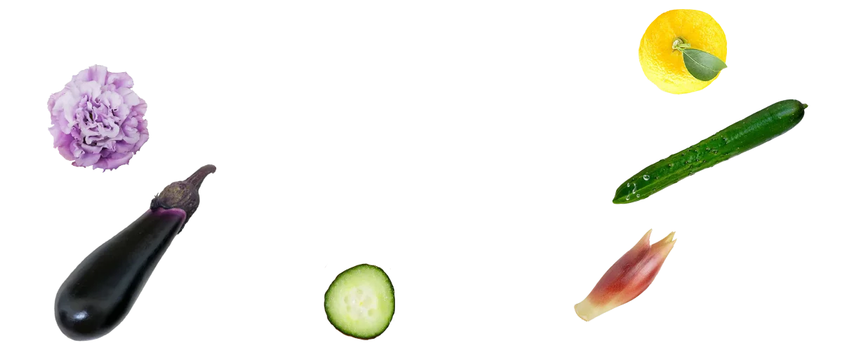 野菜2