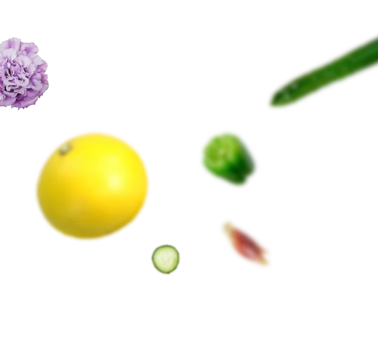 野菜1