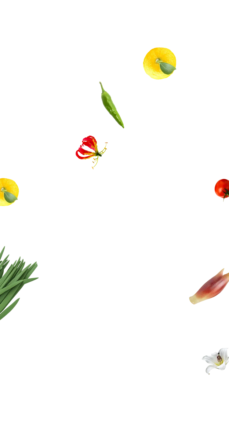 野菜2