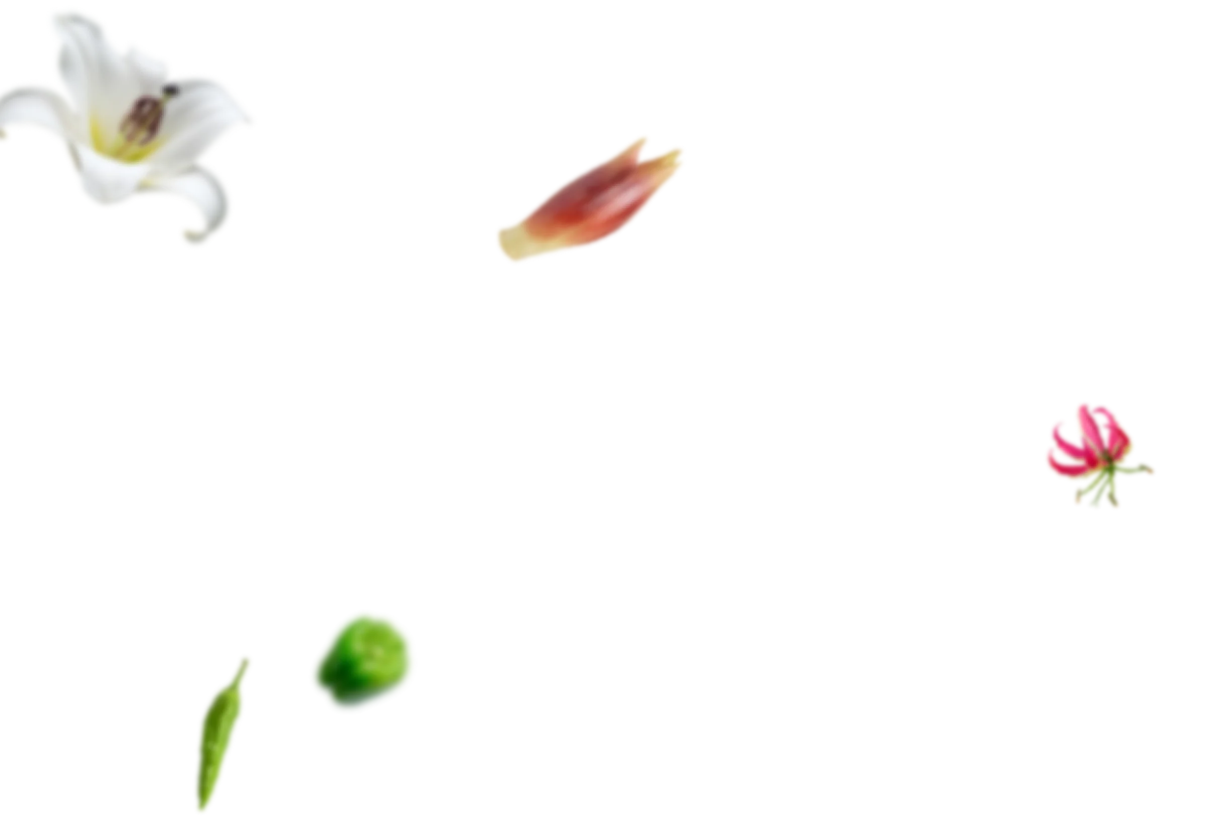 野菜1