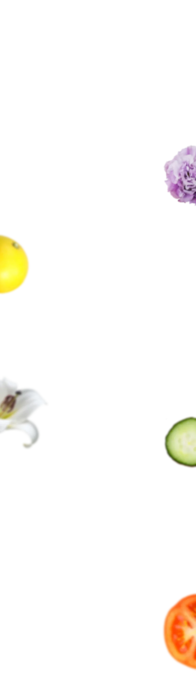 野菜3