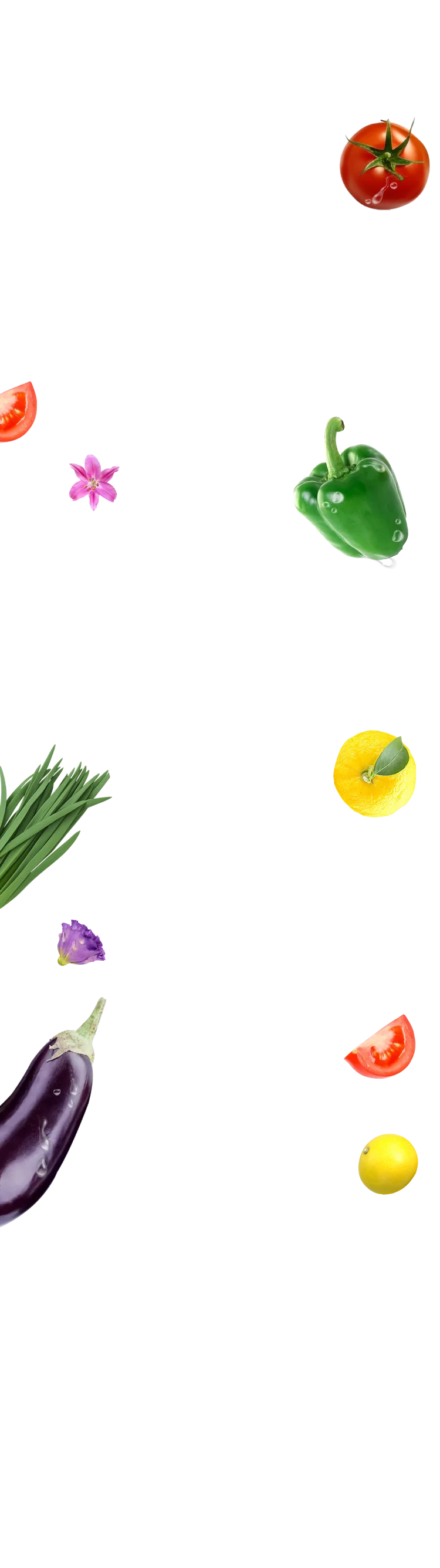 野菜2